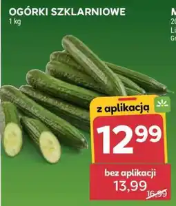 Stokrotka Market Ogórki szklarniowe oferta