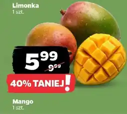 Netto Mango oferta