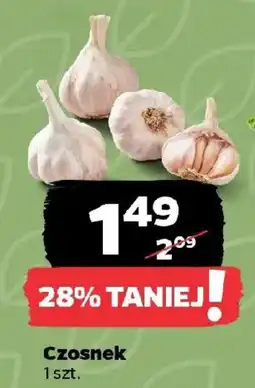 Netto Czosnek oferta