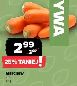 Netto Marchew oferta