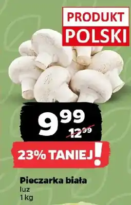 Netto Pieczarka biała oferta