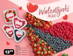 Netto Owoce: truskawka / malina / borówka oferta