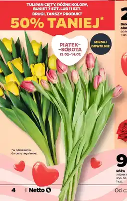 Netto Tulipan cięty, bukiet oferta