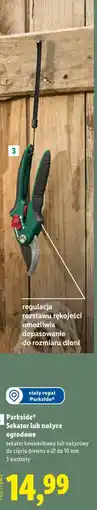 Lidl Parkside Sekator lub nożyce ogrodowe oferta