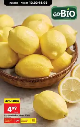 Biedronka Cytryny bio Gobio oferta