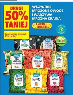 Biedronka Warzywa na patelnię Mroźna Kraina oferta