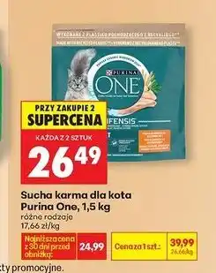 Biedronka Karma dla kota adult kurczak i pełne ziarna Purina One oferta