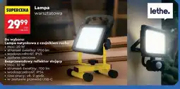 Biedronka Reflektor stojący 10w Lethe oferta
