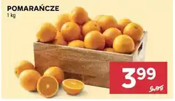 Stokrotka Pomarańcze (1 kg) oferta