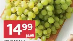 Stokrotka Winogrona bezpestkowe jasne oferta