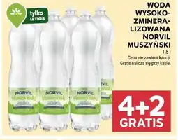 Stokrotka Norvil Muszyński Woda Wysokozmineralizowana oferta