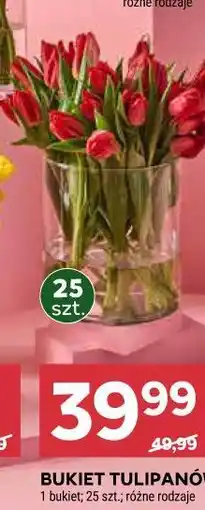 Stokrotka BUKIET TULIPANÓW (25 szt.) oferta