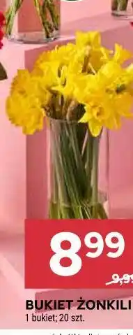 Stokrotka BUKIET ŻONKILI (20 szt.) oferta