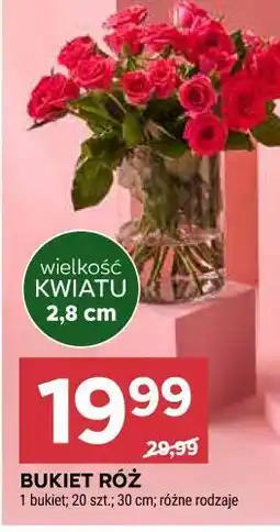 Stokrotka BUKIET RÓŻ (20 szt. 30 cm) oferta