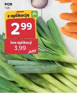 Stokrotka Por (z aplikacją) oferta