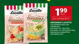Stokrotka Lucatto Owsianaka oferta