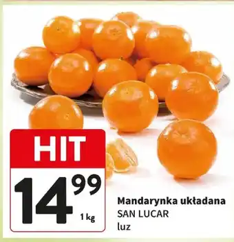 Mandarynka układana luz