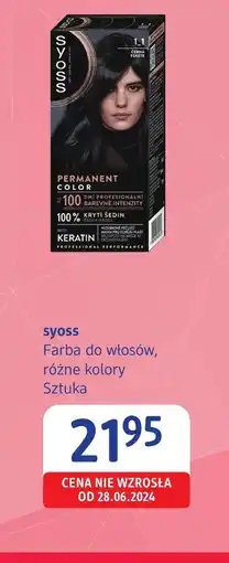 dm drogerie markt Farba do włosów Syoss oferta