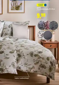 Lidl Poszewka Livarno oferta