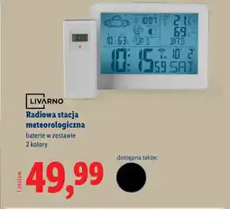 Lidl Termometr Livarno oferta