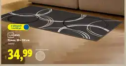 Lidl Dywan Livarno oferta