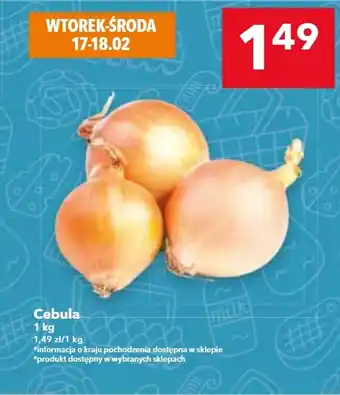 Lewiatan Cebula oferta
