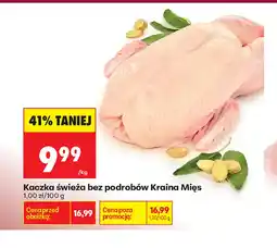 Biedronka Kaczka Kraina Mięs oferta