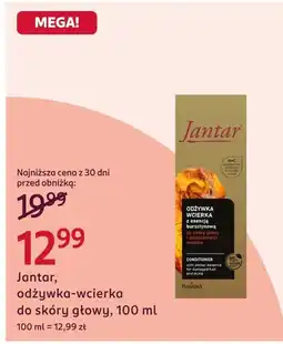Rossmann Wcierka do skóry głowy Jantar oferta