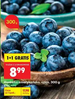 Biedronka Borówka amerykańska 1+1 GRATIS oferta