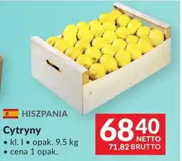 Makro Cytryny oferta