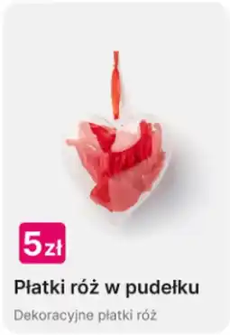 Pepco Płatki róż w pudełku oferta