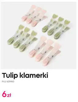Pepco Tulip klamerki oferta
