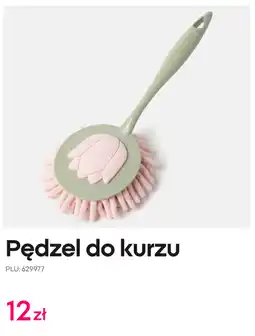 Pepco Pędzel do kurzu oferta