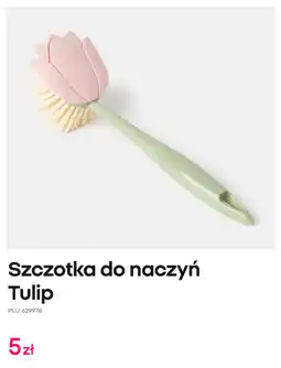 Pepco Szczotka do naczyń Tulip oferta