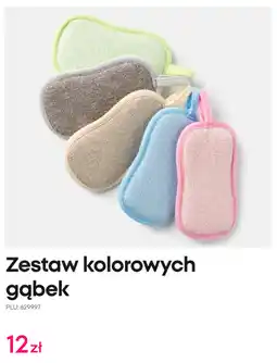 Pepco Zestaw kolorowych gąbek oferta