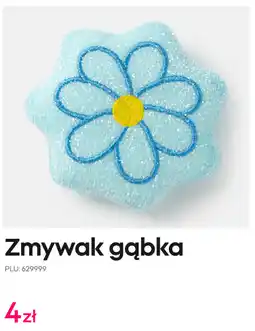 Pepco Zmywak gąbka oferta