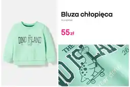 Pepco Bluza chłopięca oferta