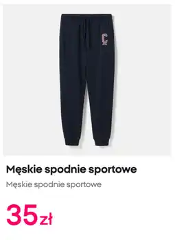 Pepco Męskie spodnie sportowe oferta