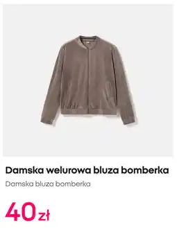 Pepco Damska welurowa bluza bomberka oferta