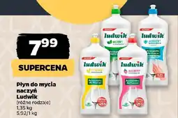 Netto Płyn do mycia naczyń Ludwik oferta