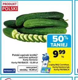 Carrefour Polski ogórek krótki oferta