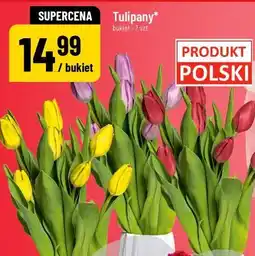 Polomarket Tulipany oferta