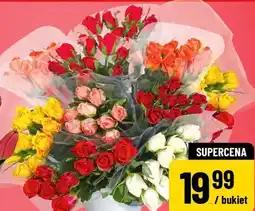 Polomarket Róże oferta