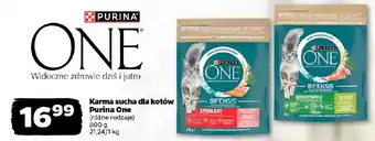 Netto Karma sucha dla kotów Purina One oferta