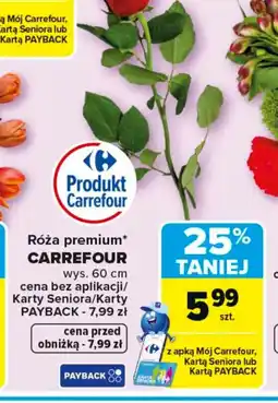 Carrefour Carrefour Róża premium oferta