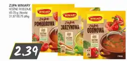 Słoneczko Zupa winiary nestle oferta