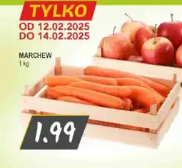 Słoneczko Marchew oferta