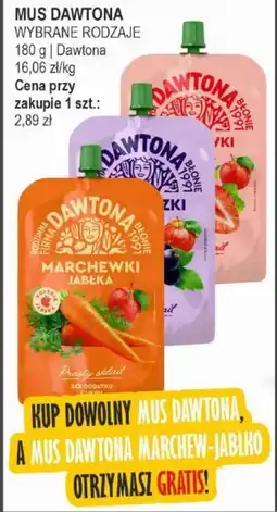 Słoneczko Mus dawtona oferta