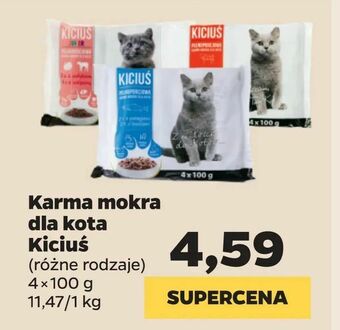 Netto Karma mokra dla kota Kiciuś oferta