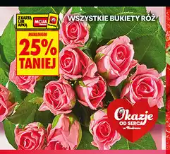 Biedronka Wszystkie bukiety róż oferta